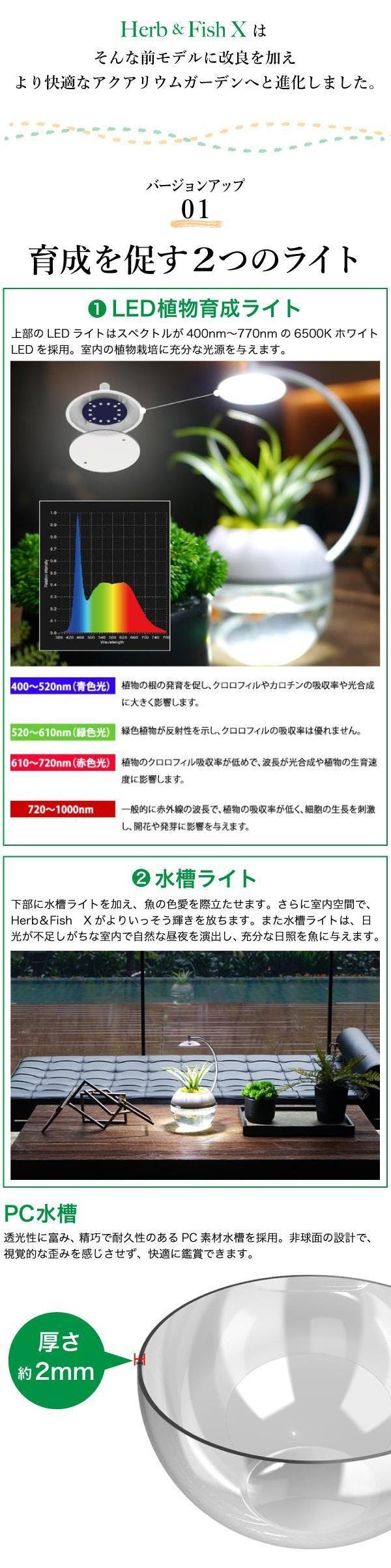 間接照明に 生命 を 植物と魚を育成できるledライト 水換えお手入れ超簡単 Campfire キャンプファイヤー