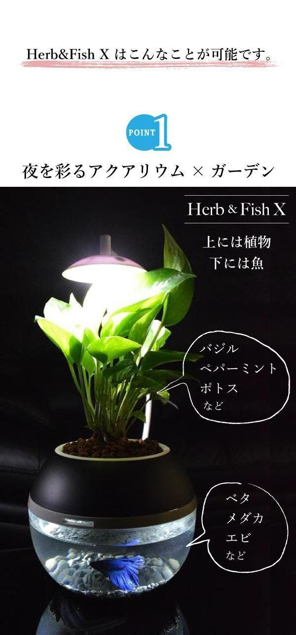 間接照明に 生命 を 植物と魚を育成できるledライト 水換えお手入れ超簡単 Campfire キャンプファイヤー