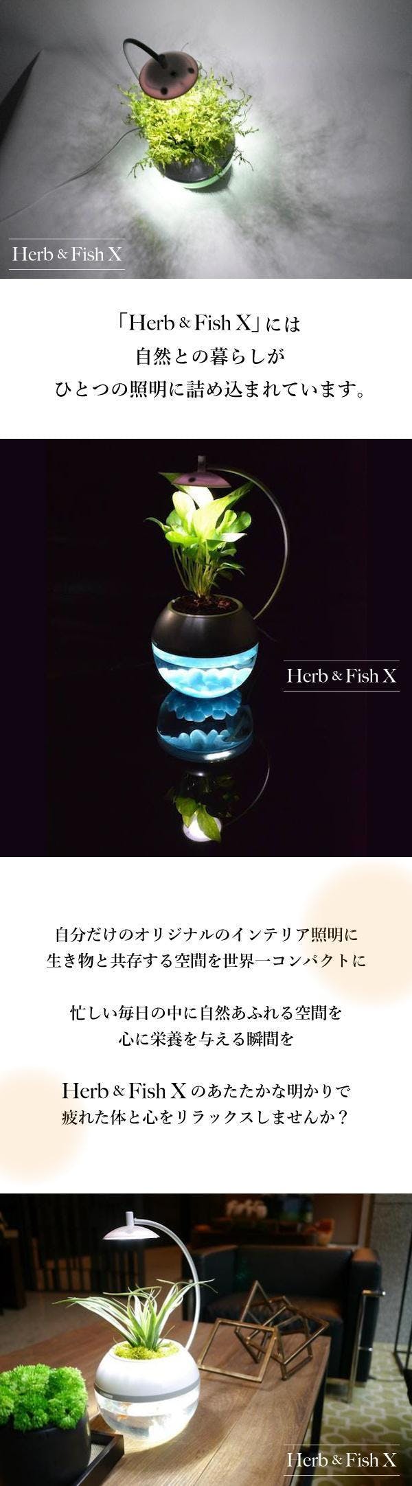 間接照明に 生命 を 植物と魚を育成できるledライト 水換えお手入れ超簡単 Campfire キャンプファイヤー 間接照明に 生命 を 植物と魚を育成できるledライト 水換えお手入れ超簡単 Campfire キャンプファイヤー