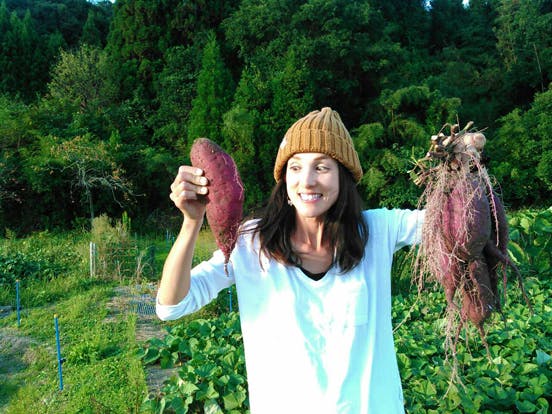 直売八百屋 ローランドマーケット オープン記念で特選野菜をプレゼント Campfire キャンプファイヤー 直売八百屋 ローランドマーケット オープン記念で特選野菜をプレゼント Campfire キャンプファイヤー