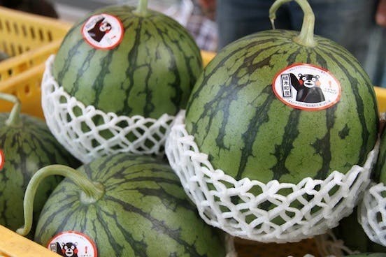 日本一の 植木すいか をもっと広めたい Ueki もんマルシェ拡大計画 Campfire キャンプファイヤー 日本一の 植木すいか をもっと広めたい Ueki もんマルシェ拡大計画 Campfire キャンプファイヤー