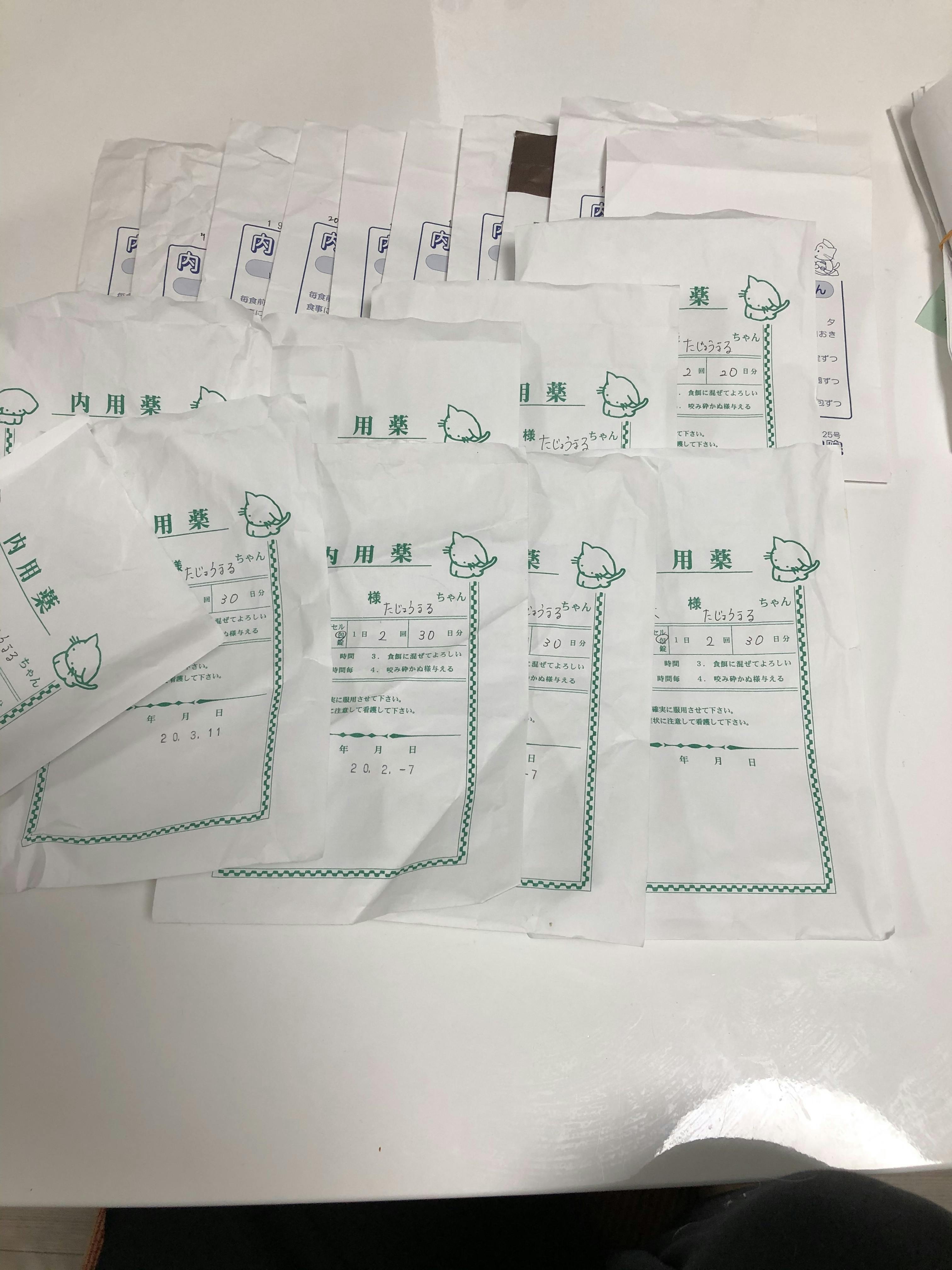 愛犬を助けてください Campfire キャンプファイヤー 愛犬を助けてください Campfire キャンプファイヤー