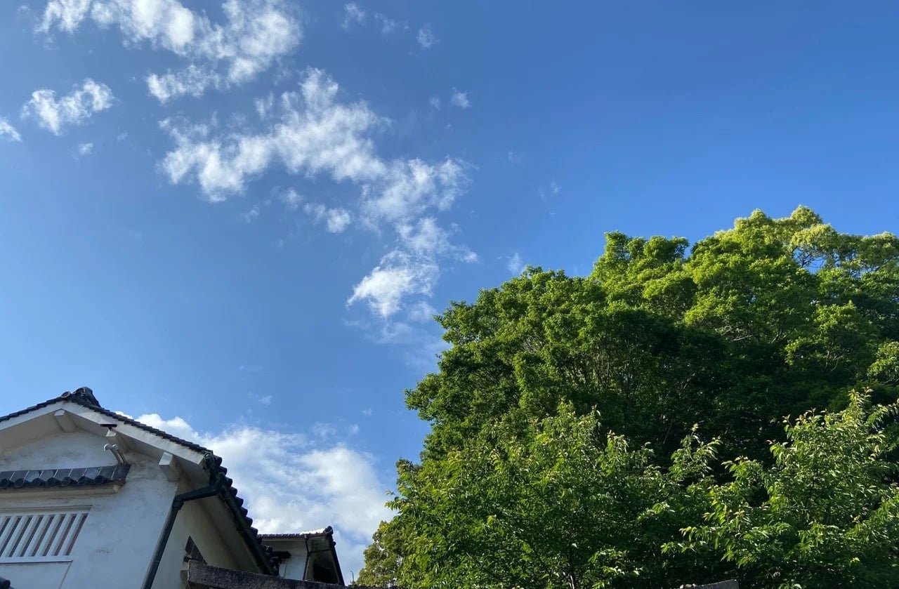 iOS の画像 (45) (1)