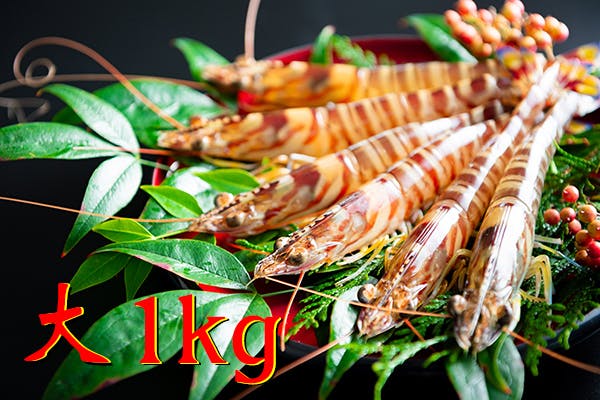 5代目が受け継ぐ原点の車海老 熊本県上天草の養殖家のコロナ禍への戦い Campfire キャンプファイヤー 5代目が受け継ぐ原点の車海老 熊本県上天草の養殖家のコロナ禍への戦い Campfire キャンプファイヤー