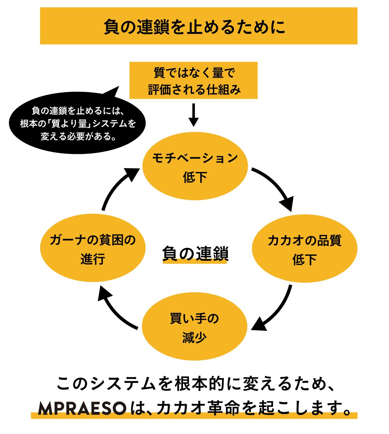 私たちのチョコレート工場から ガーナにカカオ革命を
