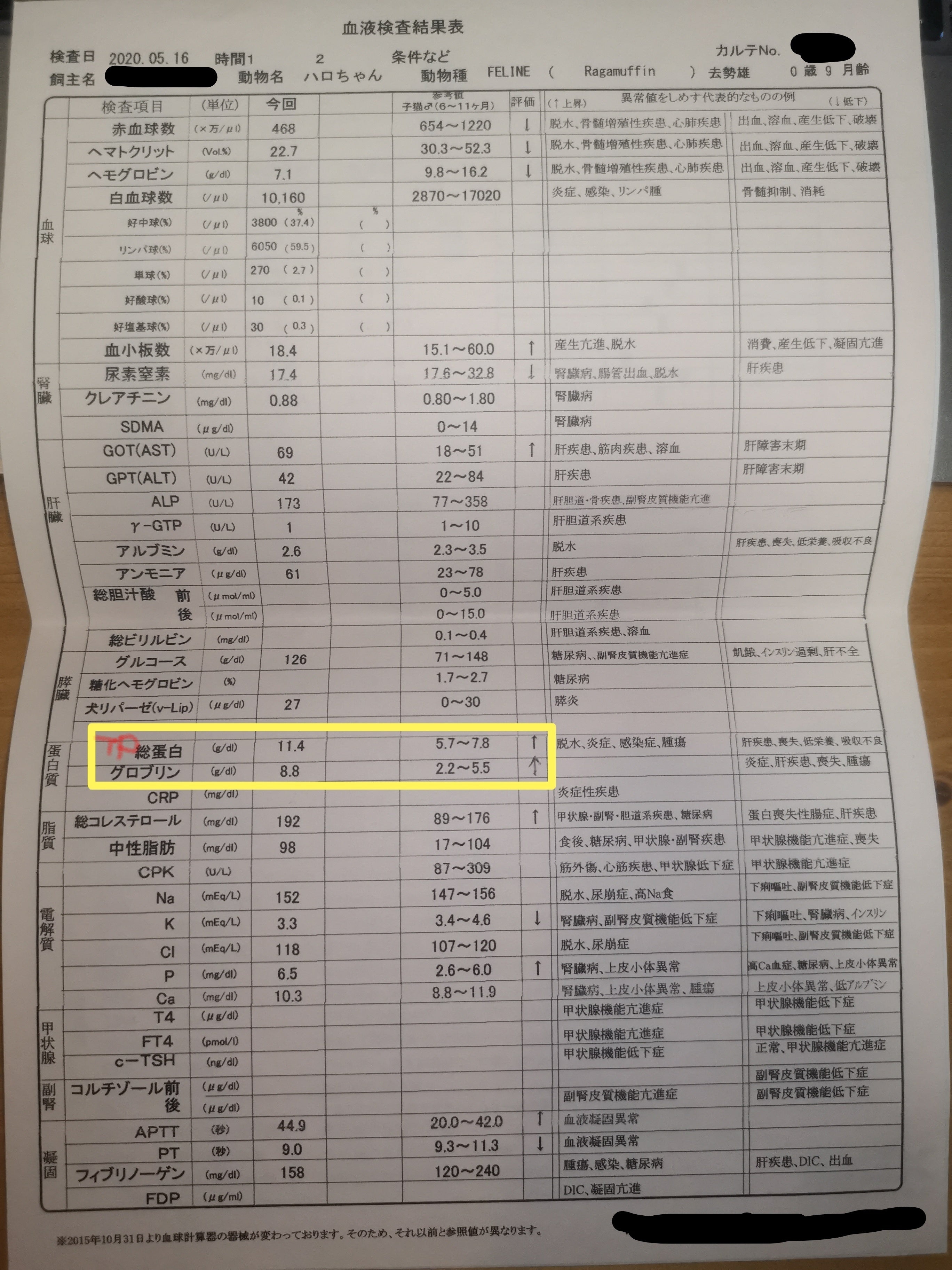 難病 猫伝染性腹膜炎 Fip の治療プログラムのご協力をお願い申し上げます Campfire キャンプファイヤー