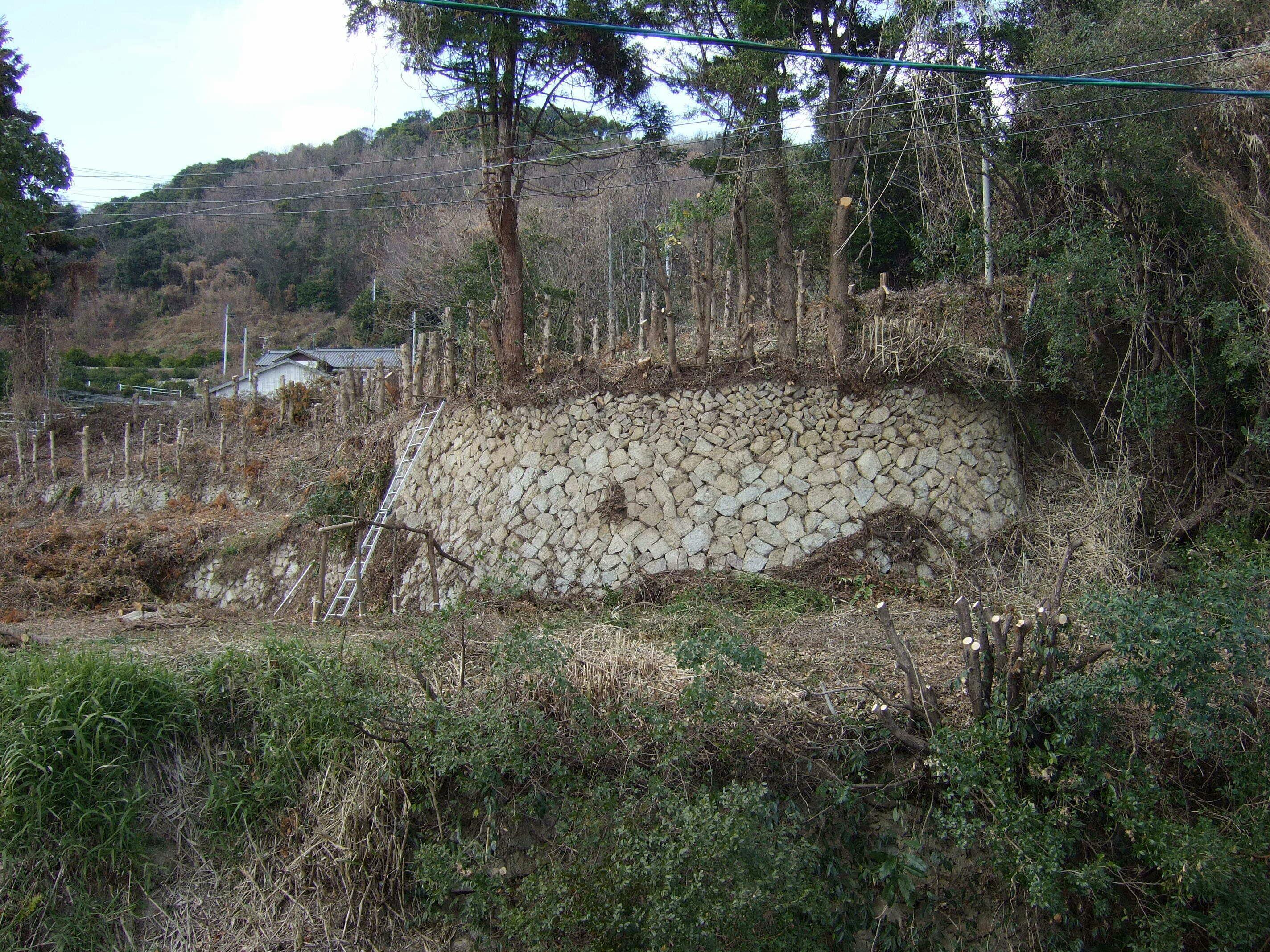 周防大島の石積み段々畑を再開墾