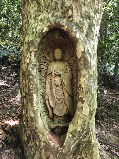 2代目生き木地蔵