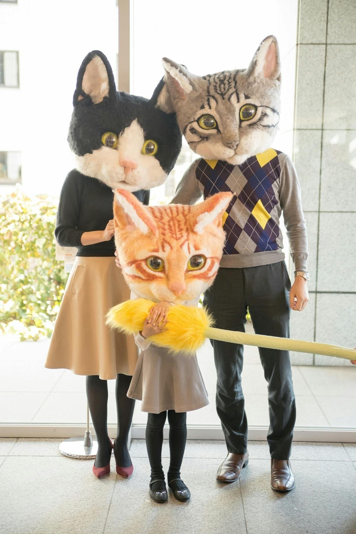 コロナショックで閉鎖した猫好きの集まる教室の再開支援のお願い Campfire キャンプファイヤー