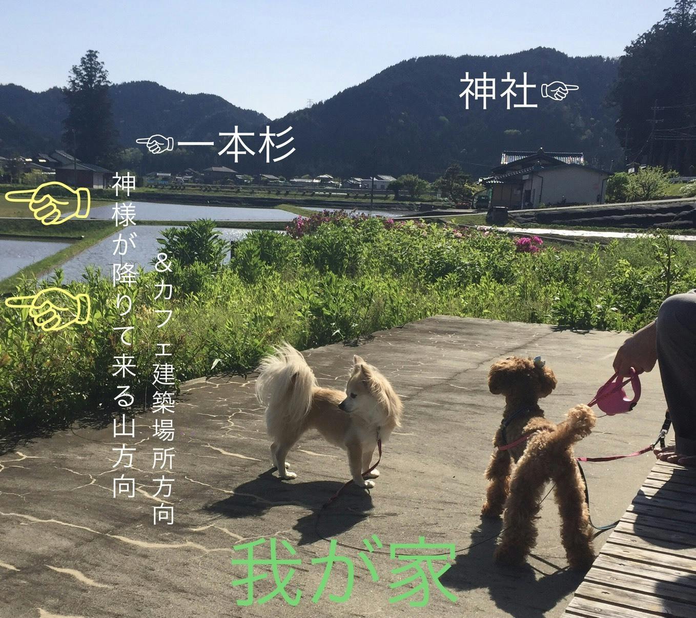 神様も遊びに来る土地でエネルギーを貰える喫茶店 を郡上の山奥でオープンさせたい Campfire キャンプファイヤー 神様も遊びに来る土地でエネルギーを貰える喫茶店 を郡上の山奥でオープンさせたい Campfire キャンプファイヤー