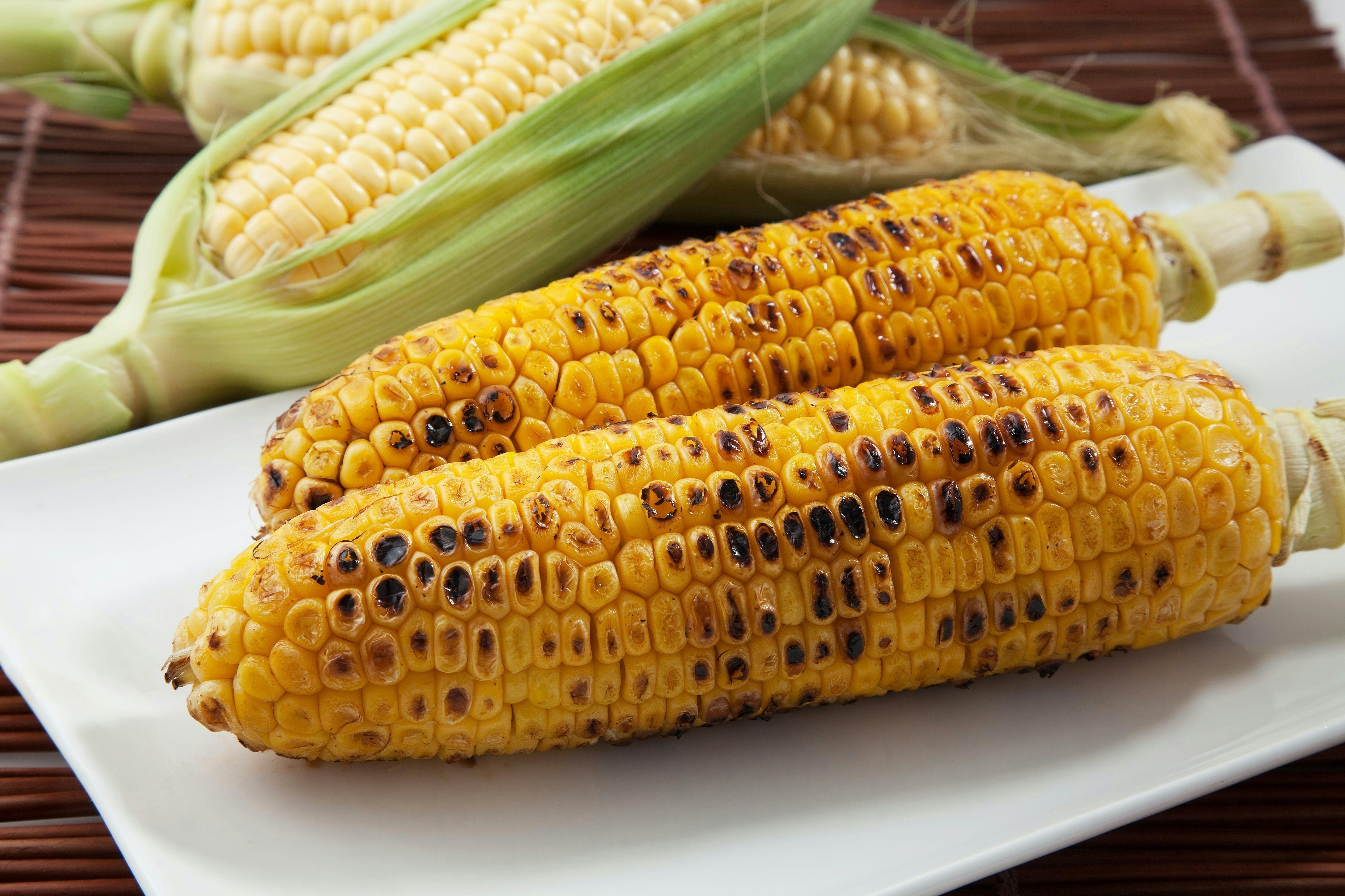 しろみつとろきび が危ない 北海道江別市を世界一おいしいとうもろこしの産地に Campfire キャンプファイヤー