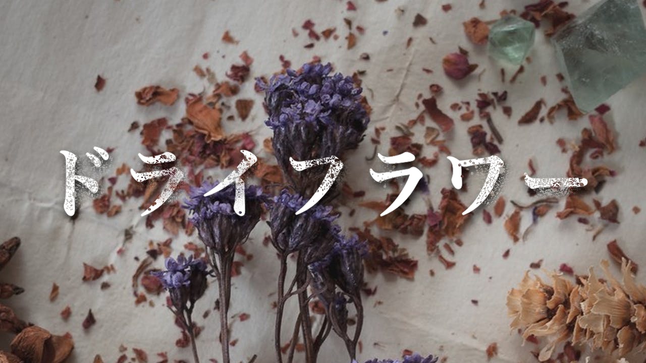 爆走おとな小学生応援プロジェクト - CAMPFIRE (キャンプファイヤー)