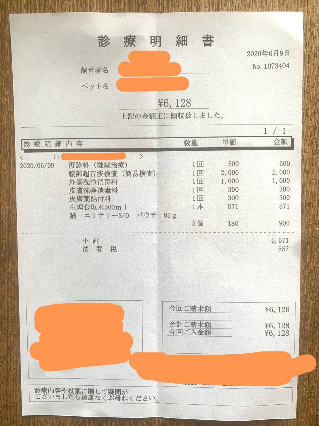 手術・治療費のお願い】「長生きできないかも」と言われたこの子を救い 