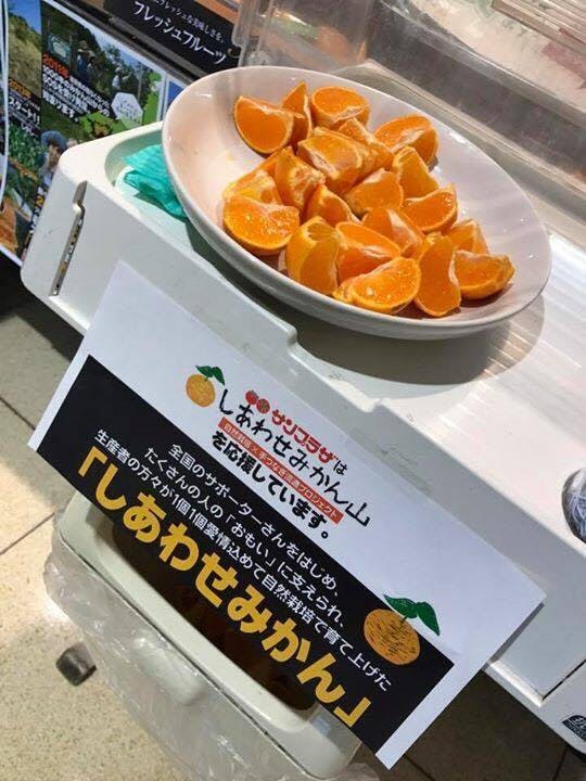 期間限定！ サンプラザで、しあわせみかんの試食販売開催中です