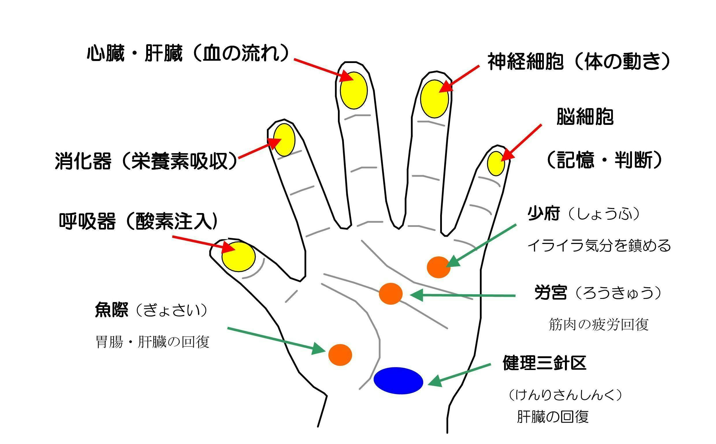 病める現代社会の救世主 脳活ボール を広めたい Campfire キャンプファイヤー 病める現代社会の救世主 脳活ボール を広めたい Campfire キャンプファイヤー
