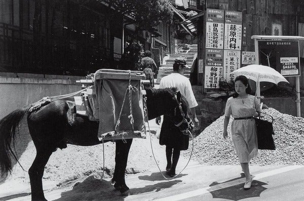 昭和50年高平町・対州馬330