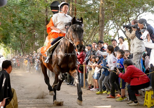 風景写真　パーミルフォトオフィス　林政司　白鬚神社流鏑馬祭