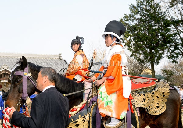 風景写真　パーミルフォトオフィス　林政司　白鬚神社流鏑馬祭