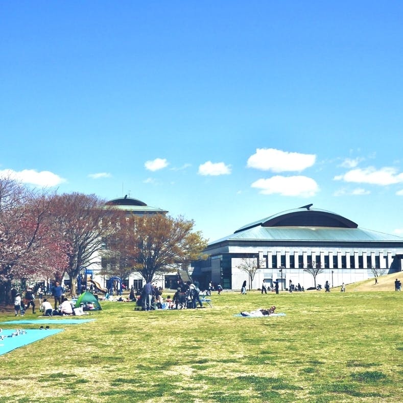 みんなが主役の音楽フェス さむかわ中央公園で音と遊ぼう Campfire キャンプファイヤー みんなが主役の音楽フェス さむかわ中央公園で音と遊ぼう Campfire キャンプファイヤー