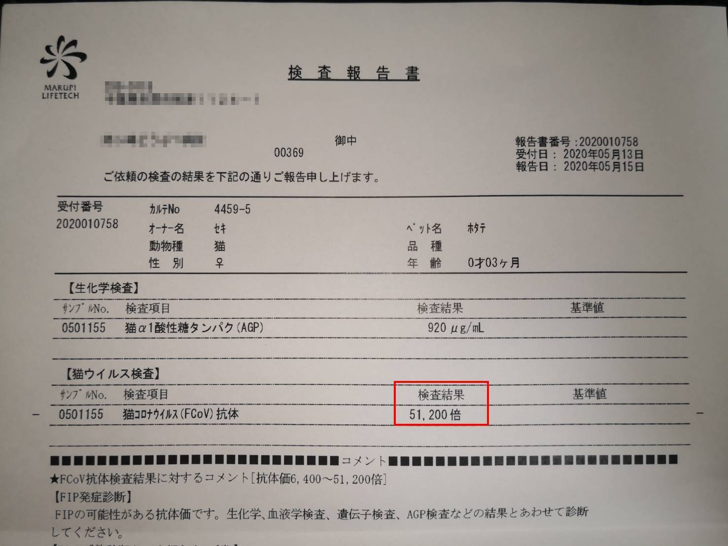 猫コロナウイルスによる猫伝染性腹膜炎(FIP)治療費ご協力のお願い