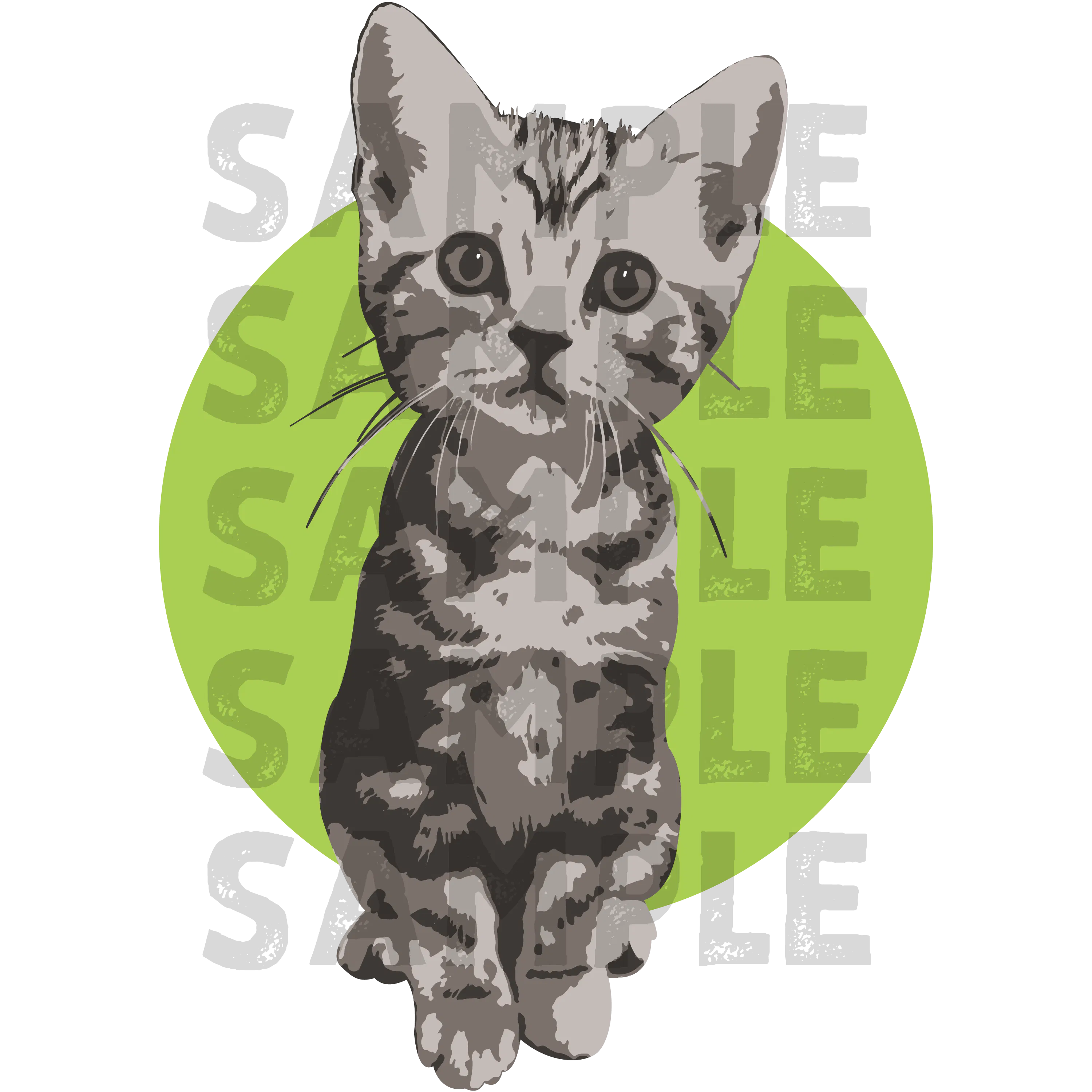 猫コロナウイルスによる猫伝染性腹膜炎 Fip 治療費ご協力のお願い Campfire キャンプファイヤー 猫コロナウイルスによる猫伝染性腹膜炎 Fip 治療費ご協力のお願い Campfire キャンプファイヤー