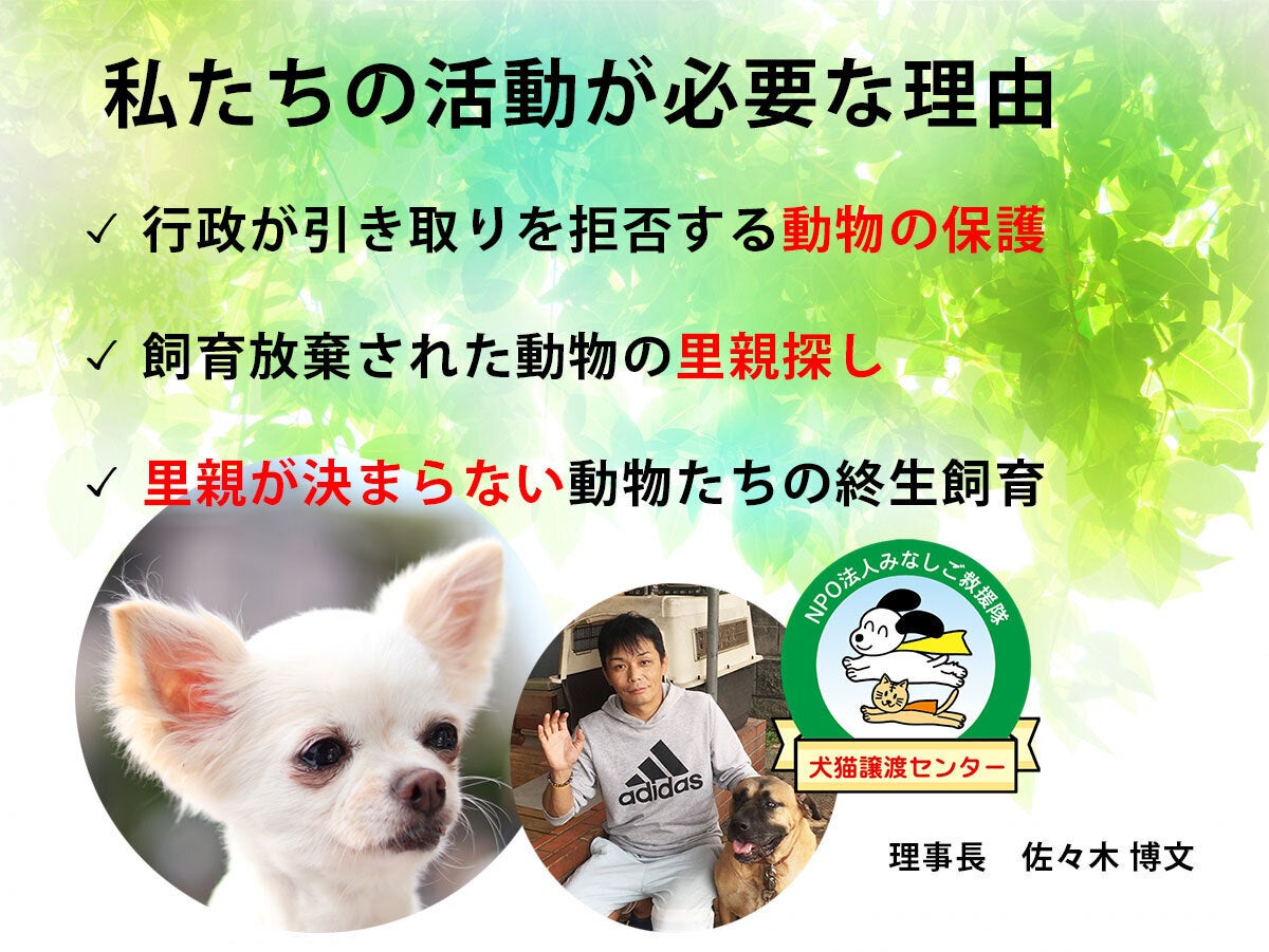 捨てられた犬猫たちの保護施設を完成させたい Campfire キャンプファイヤー