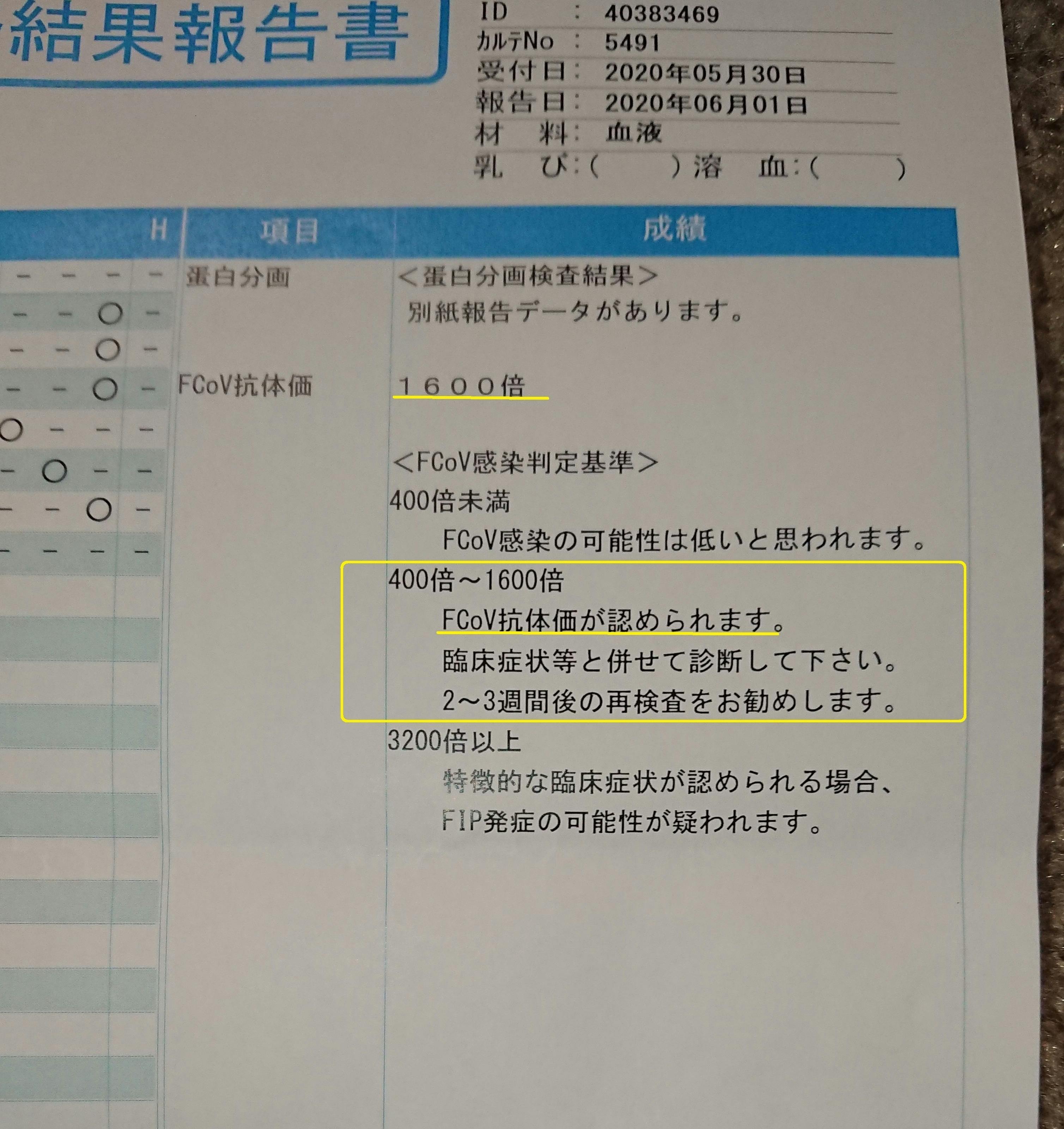 お腹 ゴロゴロ コロナ