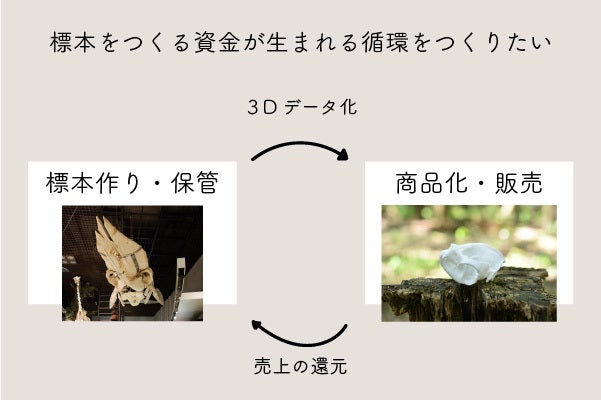 国立科学博物館の標本が自宅に届く！3Dプリントレプリカ＆ARポスト