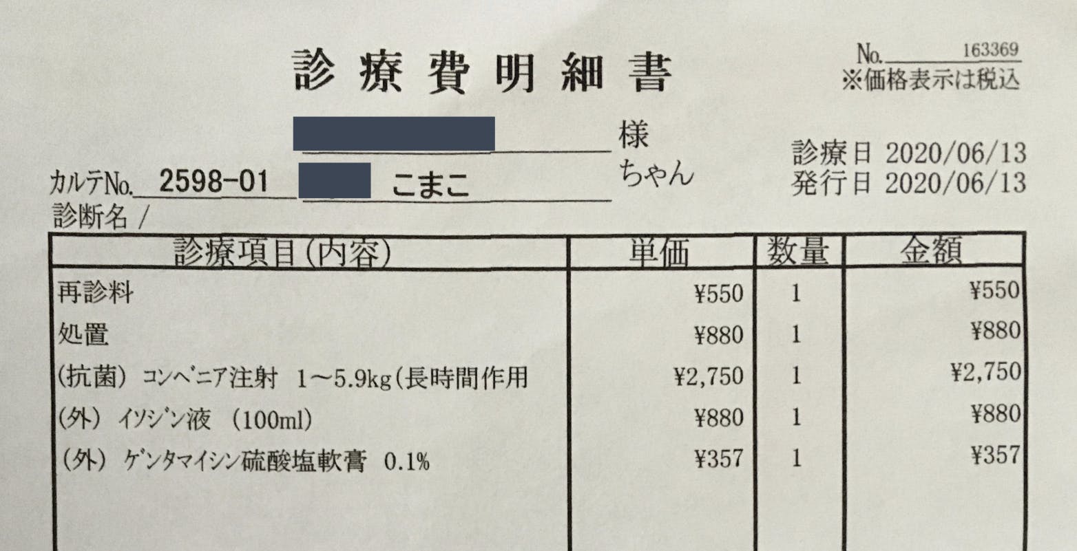 乳腺腫瘍 乳癌 と診断された13歳の愛猫 こまこ への治療費のご支援お願いします Campfire キャンプファイヤー