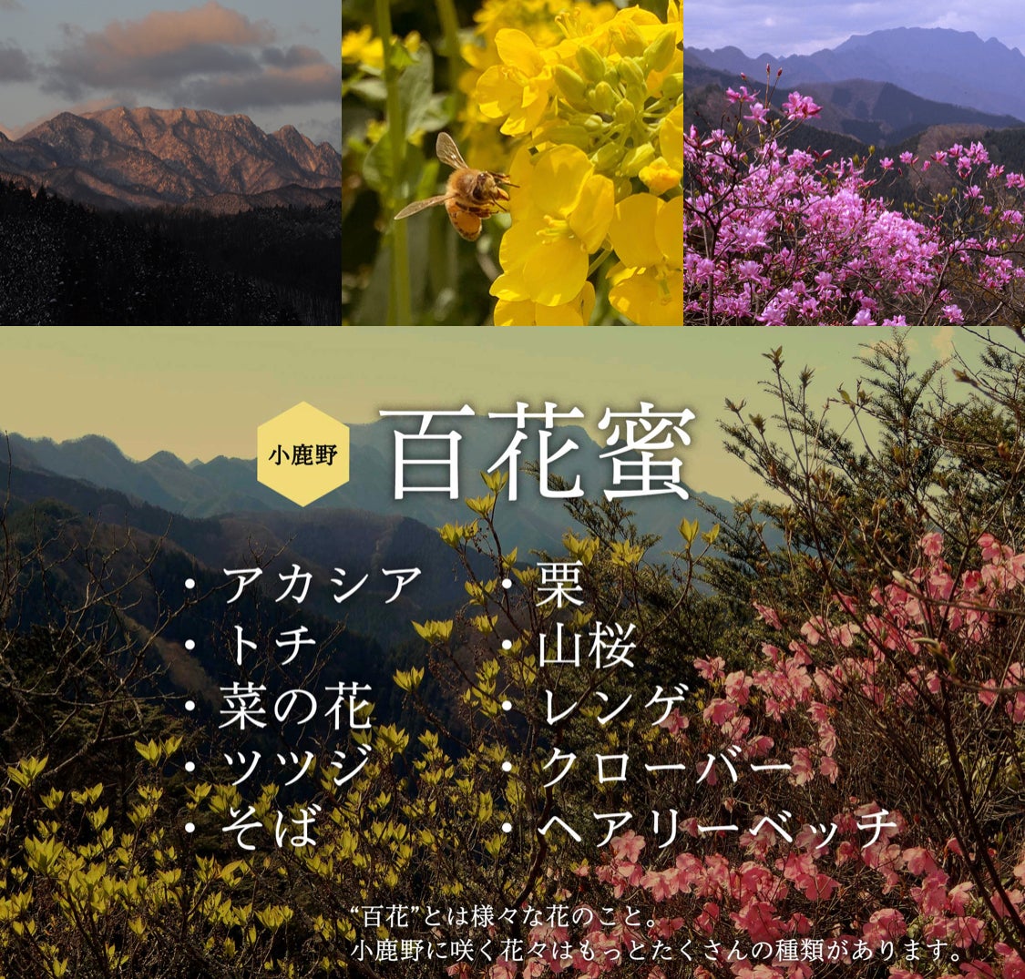 IMG_9755.jpeg
