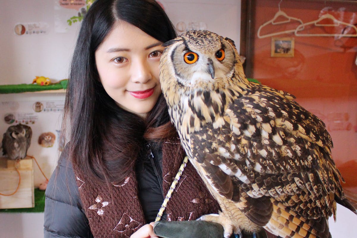 コロナから大切なふくろうの命と住処を守りたい！ふくろうの里（吉祥寺