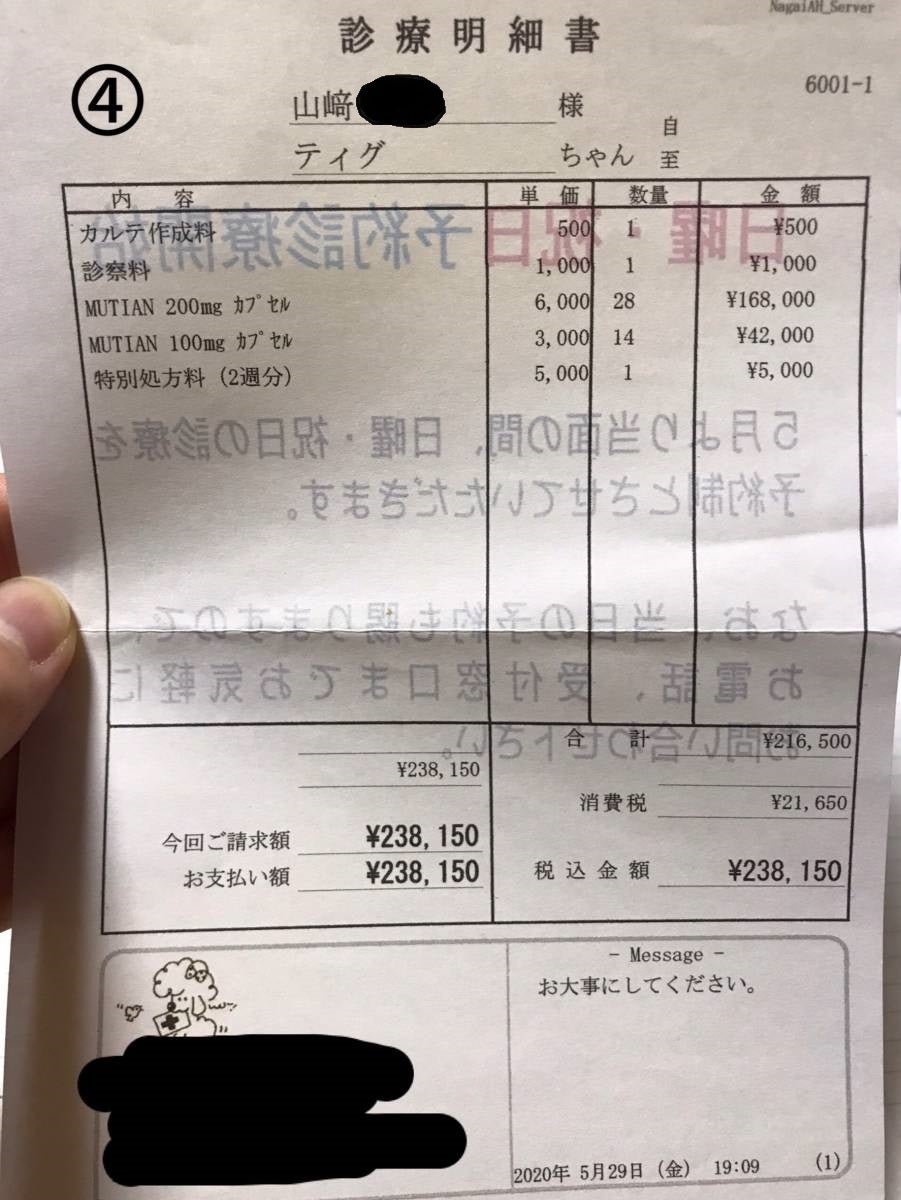 未だ1歳、突然の余命宣告】♢FIP♢猫伝染性腹膜炎の治療費ご協力の