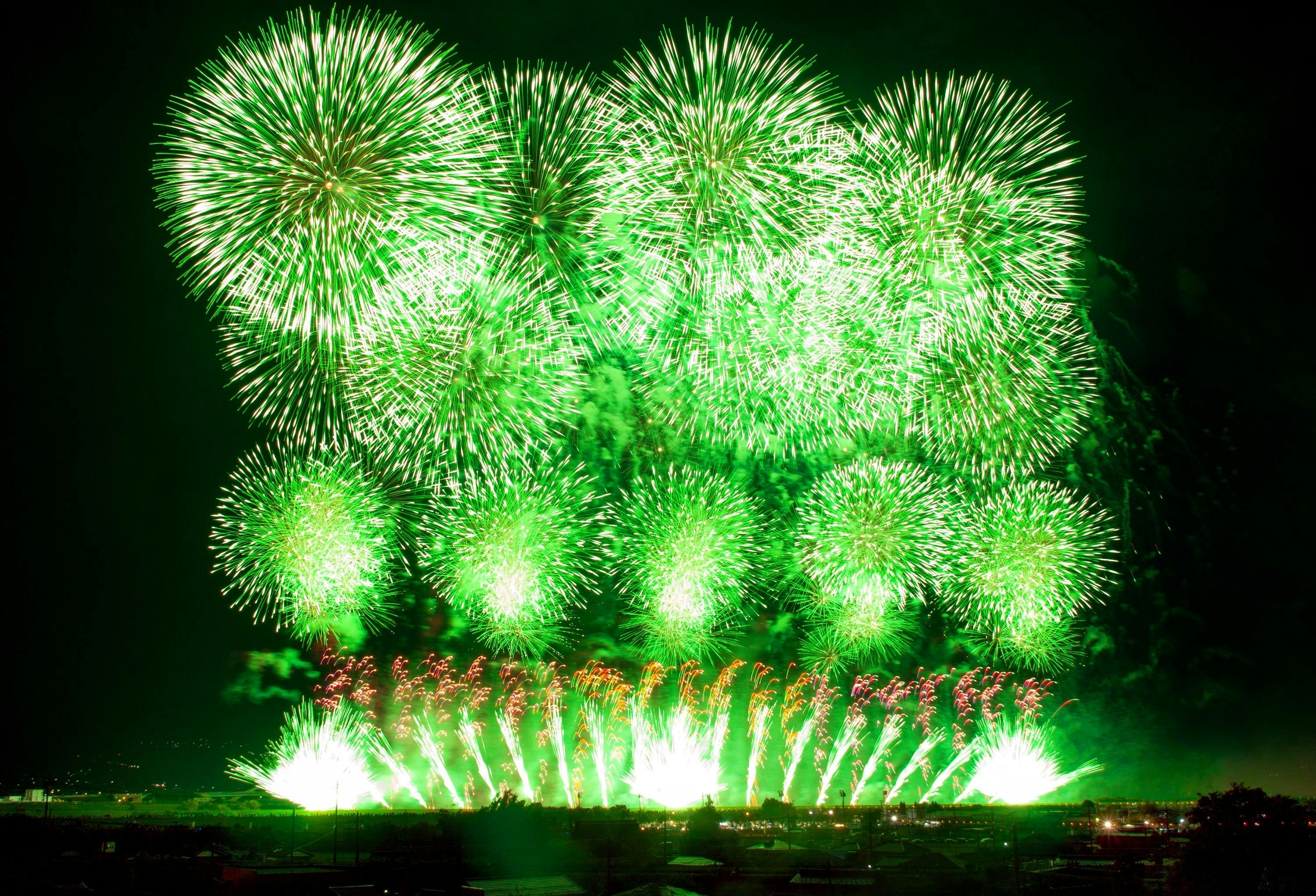 市川花火の伝統を消さない 神明の花火応援企画 あなたの力が未来を照らす Campfire キャンプファイヤー 市川花火の伝統を消さない 神明の花火応援企画 あなたの力が未来を照らす Campfire キャンプファイヤー