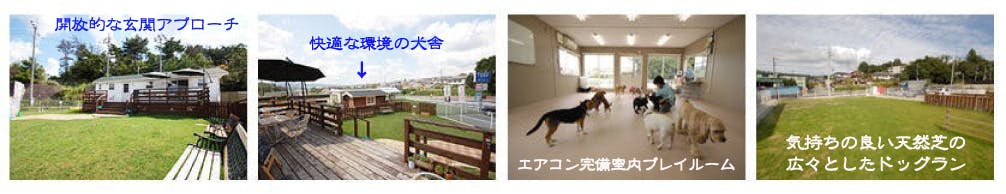 コロナに負けない 西宮にあるドッグホテルを継続したい Campfire キャンプファイヤー コロナに負けない 西宮にあるドッグホテルを継続したい Campfire キャンプファイヤー