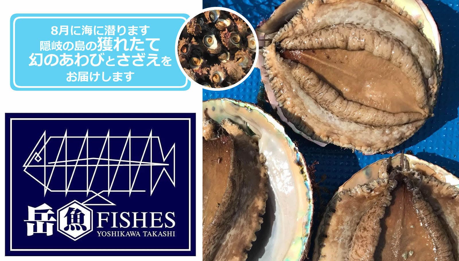 隠岐諸島の新鮮なサザエ 幻のアワビをお届けしたい 隠岐の美味しい魚介類を広めたい Campfire キャンプファイヤー 隠岐諸島の新鮮なサザエ 幻のアワビをお届けしたい 隠岐の美味しい魚介類を広めたい Campfire キャンプファイヤー