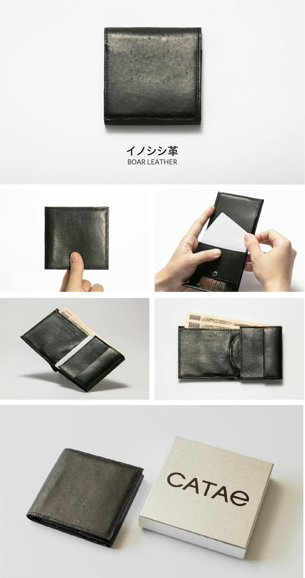 日本のイノシシ革 小さく薄い革財布 縦横約9cm厚さ1 4cm Catae Campfire キャンプファイヤー 日本のイノシシ革 小さく薄い革財布 縦横約9cm厚さ1 4cm Catae Campfire キャンプファイヤー