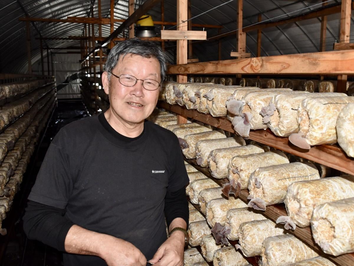 生キクラゲを冷凍販売するジョイファーム大分の葛城さん