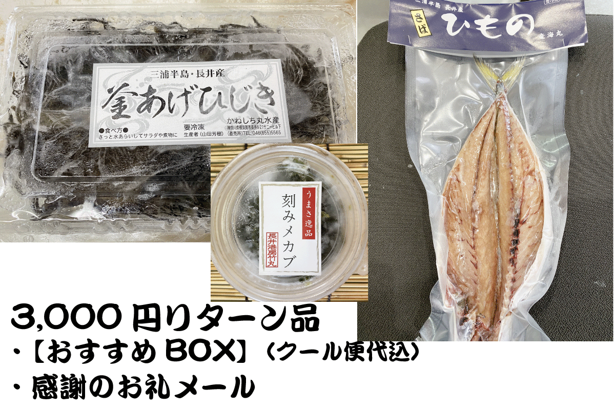 体験の感動をご自宅で 漁師を応援するため 鮮度抜群の逸品をお届けします Campfire キャンプファイヤー 体験の感動をご自宅で 漁師を応援するため 鮮度抜群の逸品をお届けします Campfire キャンプファイヤー