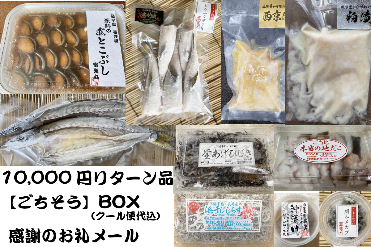 体験の感動をご自宅で 漁師を応援するため 鮮度抜群の逸品をお届けします Campfire キャンプファイヤー 体験の感動をご自宅で 漁師を応援するため 鮮度抜群の逸品をお届けします Campfire キャンプファイヤー