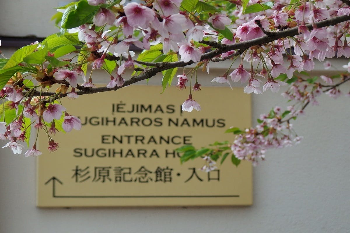 0c68d71983be15f00a71de43296fbe