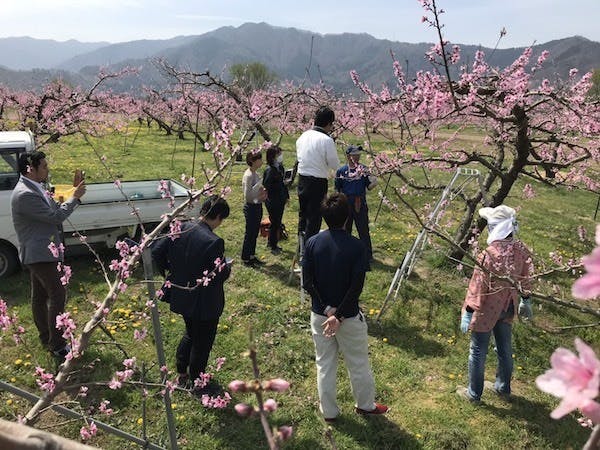 摘花の説明をいただきました。