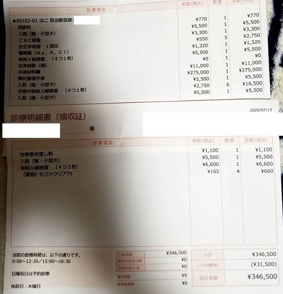 手術 治療費用 人に踏まれて骨折してしまった子猫を助けてください Campfire キャンプファイヤー 手術 治療費用 人に踏まれて骨折してしまった子猫を助けてください Campfire キャンプファイヤー