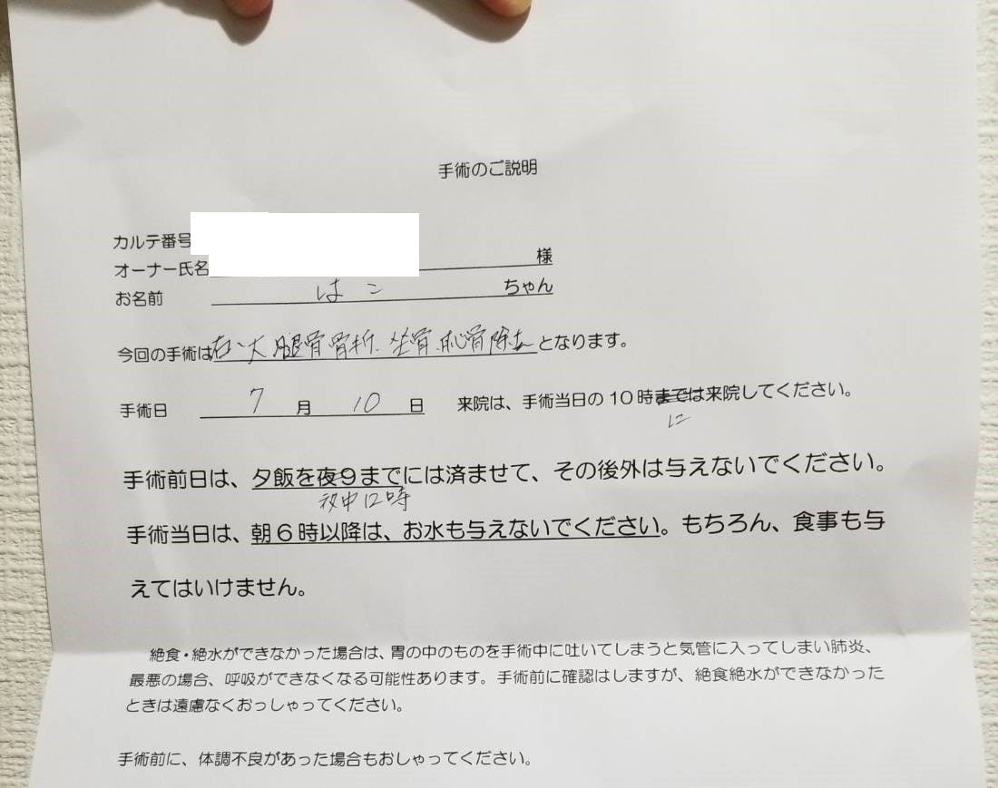 手術・治療費用】人に踏まれて骨折してしまった子猫を助けてください 