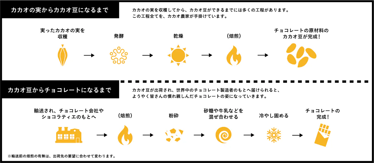 私たちのチョコレート工場から ガーナにカカオ革命を Campfire キャンプファイヤー