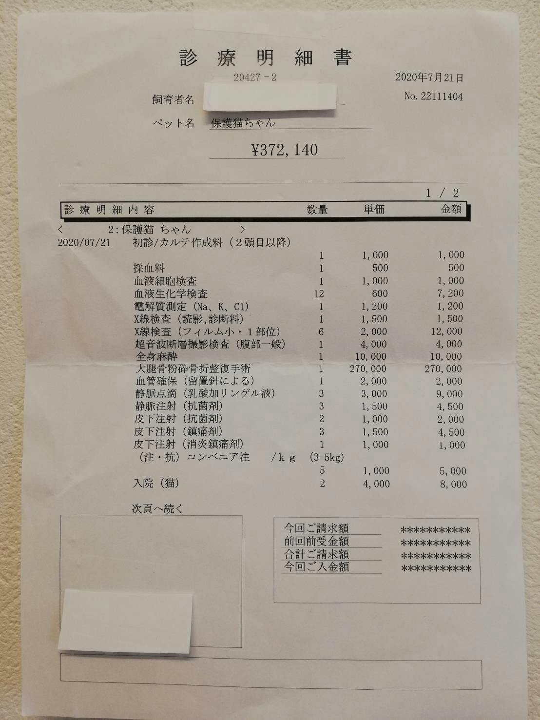 交通事故で粉砕骨折し排尿障害の可能性がある保護ネコの治療費ご支援のお願いです Campfire キャンプファイヤー