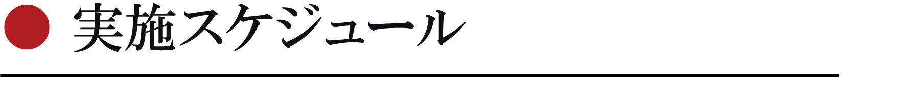 実施スケジュール