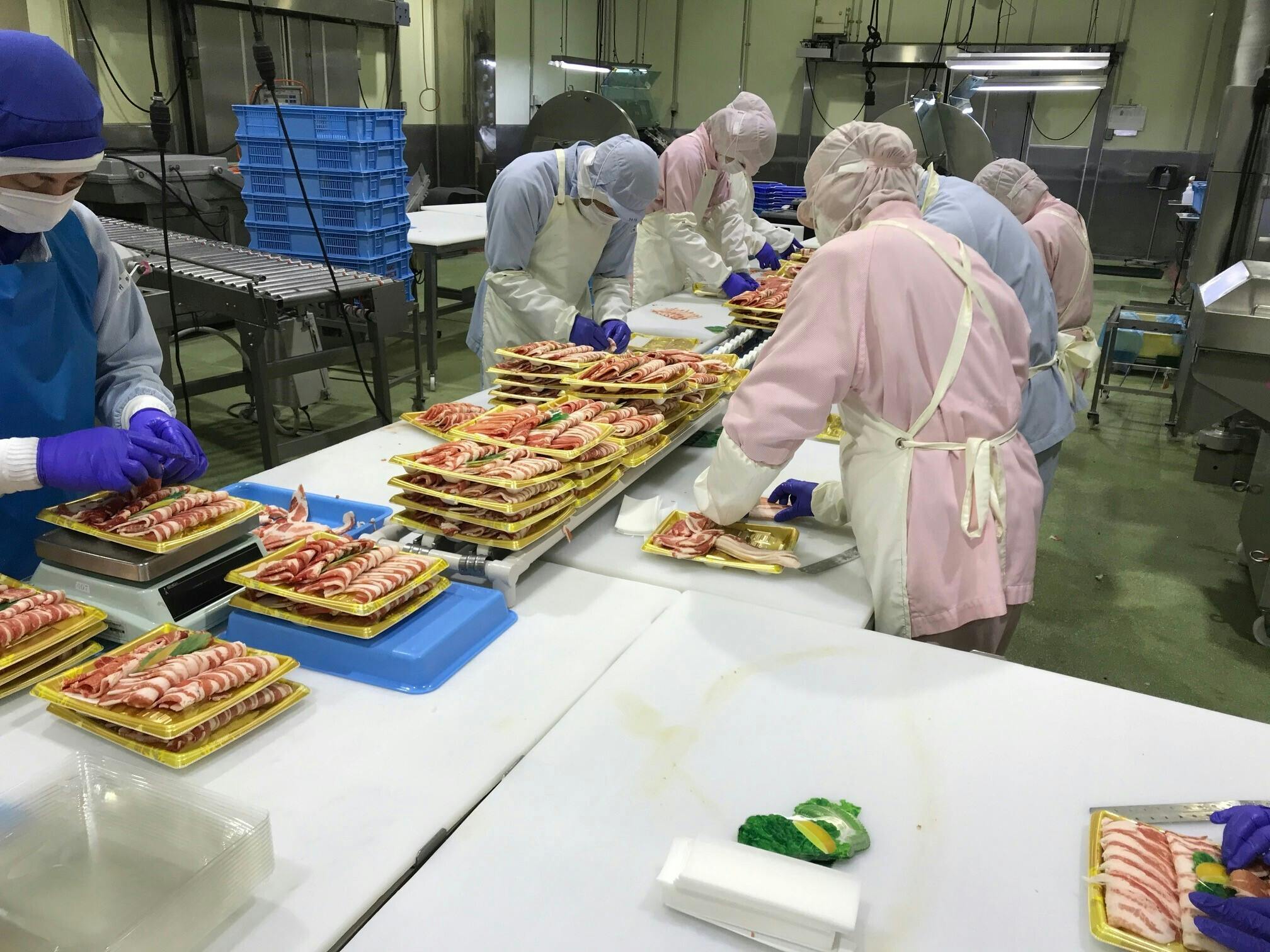 ふるさと納税 福岡県 大川市 大川市おすすめ！お肉の定期便！焼肉