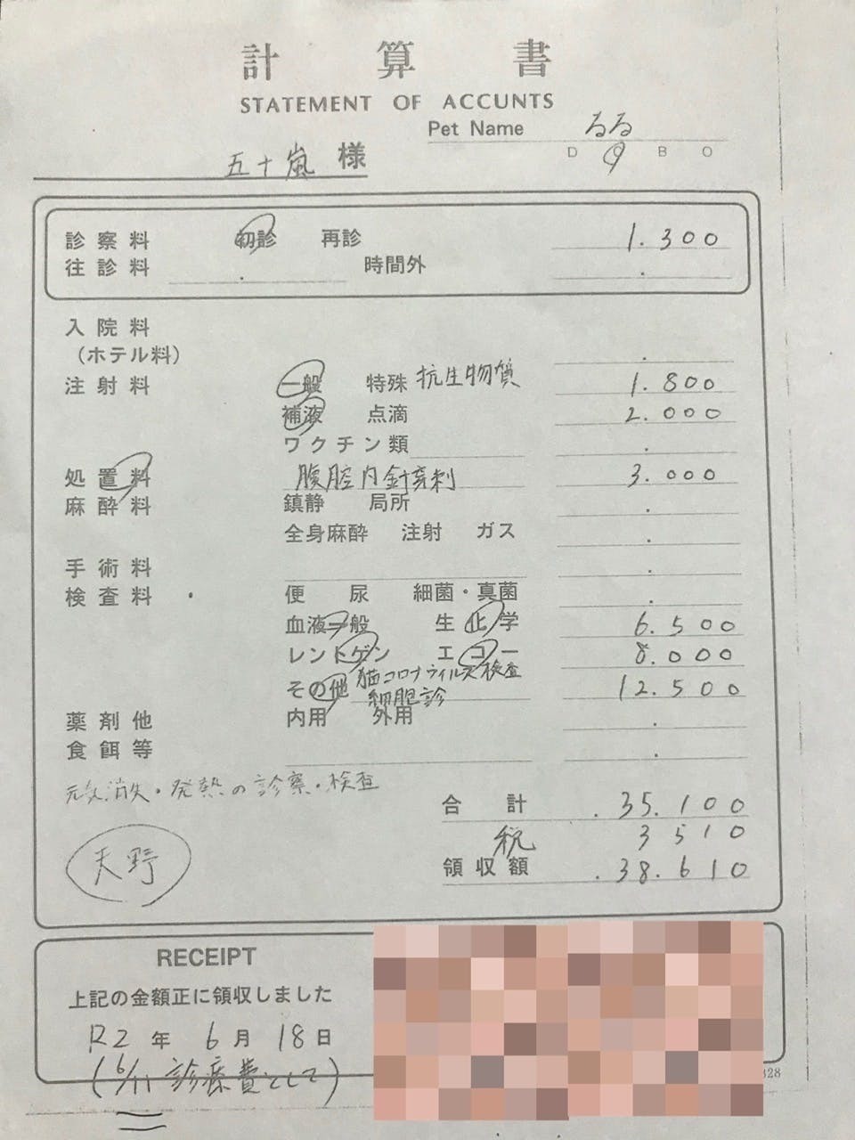 致死率ほぼ100 のfip 猫伝染性腹膜炎 から愛猫のるるを救いたい Campfire キャンプファイヤー