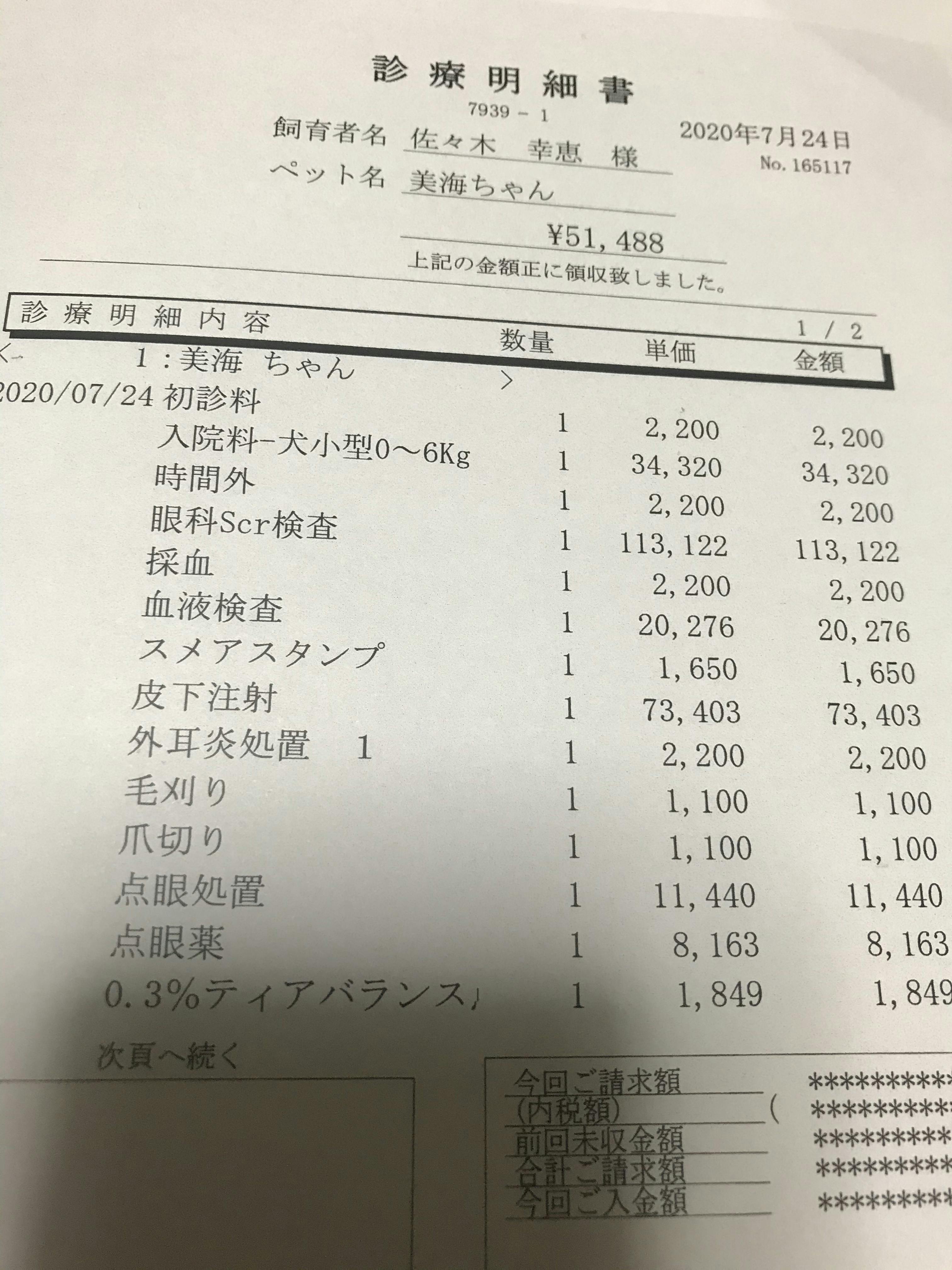 大切な美海ちゃんを助けてください Campfire キャンプファイヤー 大切な美海ちゃんを助けてください Campfire キャンプファイヤー