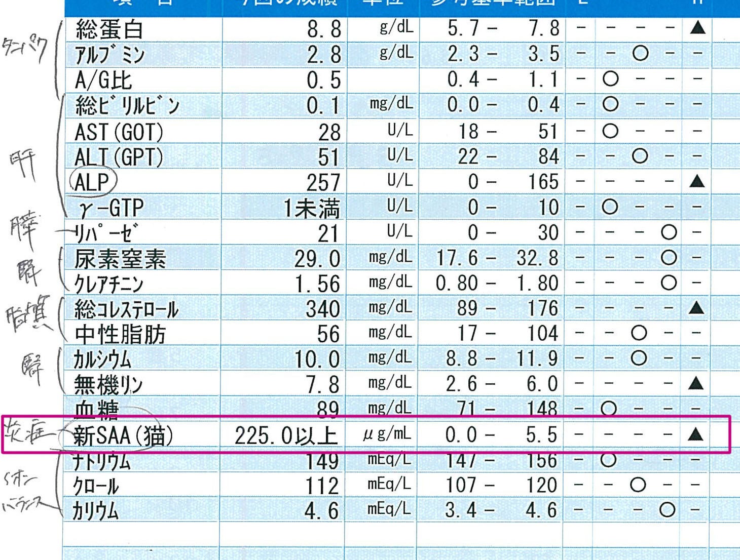 FIP】大切な家族ロサの命を救う為、皆様のお力を貸していただけない 